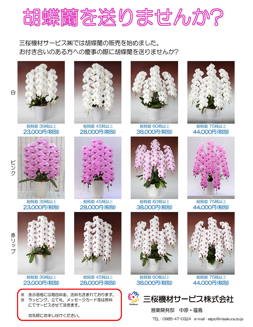 胡蝶蘭注文チラシ