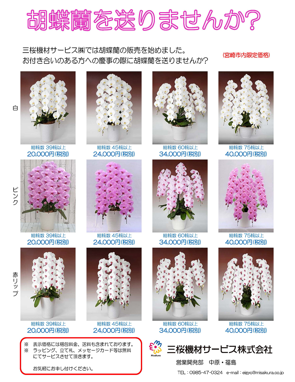 胡蝶蘭注文チラシ